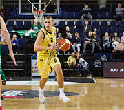 Evaldas &Scaron;aulys