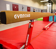 Tarptautinio gimnastikos centro atidarymas