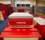 Tarptautinio gimnastikos centro atidarymas