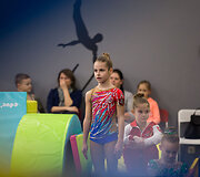 Tarptautinio gimnastikos centro atidarymas