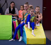 Tarptautinio gimnastikos centro atidarymas