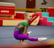 Tarptautinio gimnastikos centro atidarymas