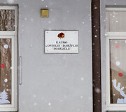 Laurų gatvė, vaizdo kamera ir daželis
