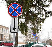 Laurų gatvė, vaizdo kamera ir daželis