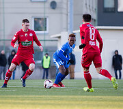 A lygos rungtynės : Kauno &bdquo;Stumbras&ldquo; - &bdquo;Panevėžys&ldquo;