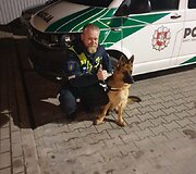 Policijos pareigūnų namo parvežtas pasiklydęs &scaron;uo
