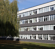 Kauno kolegija
