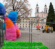 Kaune statoma Kalėdų eglė