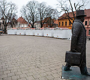 Kaune statoma Kalėdų eglė