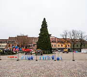 Kaune statoma Kalėdų eglė