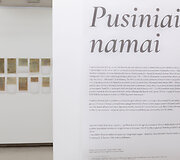 Ingos Navickaitės-Drąsutės paroda &bdquo;Pusiniai namai&ldquo;