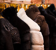 &bdquo;Ekso&ldquo; kailių ir odos salonas