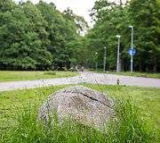 Kauno ąžuolyno parkas