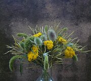 Sigito Kaminsko darbai