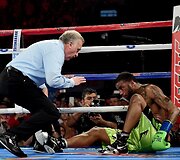 Genadijus Golovkinas &ndash; Dominicas Wade'as