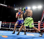 Genadijus Golovkinas &ndash; Dominicas Wade'as