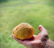 &bdquo;Karantino kuchnia&ldquo;: kūčiukai su parmezanu ir paprika