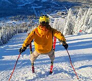 Linas Sama&scaron;ka