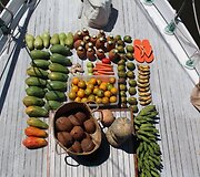 Kotrynos Laučytės kelionės akimirka