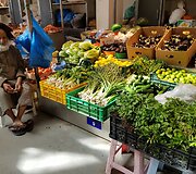 Edvardo Žičkaus kelionė į Omano sultonatą