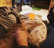 Mariaus ir Renatos Jampolskių dukra Viltė