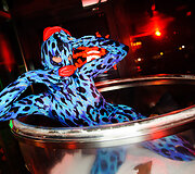 Vakarėlio &bdquo;Taboo&ldquo; naktiniame klube akimirka