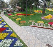 Tulpių festivalis Stambule
