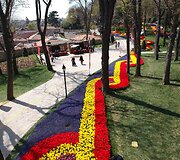 Tulpių festivalis Stambule