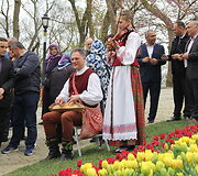 Tulpių festivalis Stambule
