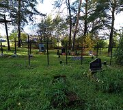 Vir&scaron;uli&scaron;kių kapinės