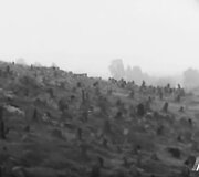 Žydų kapinės Užupyje. Kino studijos &bdquo;Belarusfilm&ldquo; filmo &bdquo;Vostočnyj koridor&ldquo; (&bdquo;Rytų koridorius&ldquo;) kadras. 1966 m.