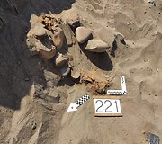 Archeologiniai tyrinėjimai Peru
