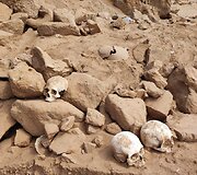 Archeologinių kasinėjimų Peru metu rastos kaukolės