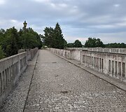 Tilto vir&scaron;us