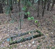 Apleistas kapas Kazli&scaron;kių kaimo kapinėse