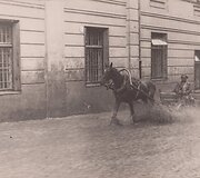 Krovinių vežikas