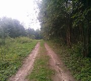 Vie&scaron;kelis, vedantis link kapavietės