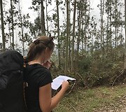 Kelio navigacija