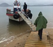 Transportas kelyje