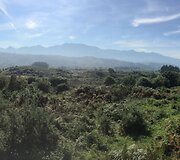 Kelio panorama