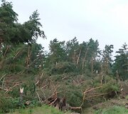 Įkrauk.lt nuotrauka