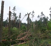 Įkrauk.lt nuotrauka
