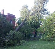 Įkrauk.lt nuotrauka