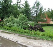 Įkrauk.lt nuotrauka