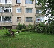 Įkrauk.lt nuotrauka