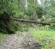 Įkrauk.lt nuotrauka