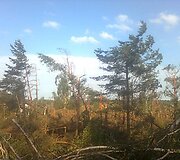 Įkrauk.lt nuotrauka