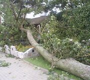 Įkrauk.lt nuotrauka