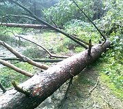 Įkrauk.lt nuotrauka