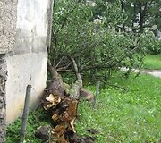 Įkrauk.lt nuotrauka